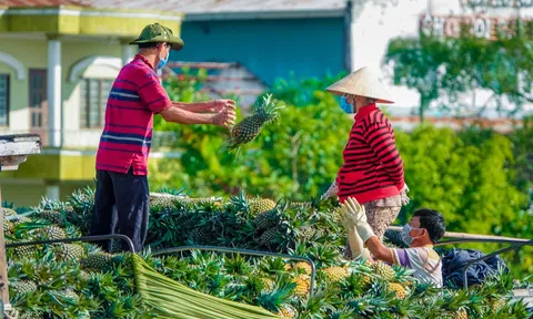 Xây dựng mã số vùng trồng góp phần thúc đẩy chuyển đổi số trong nông nghiệp
