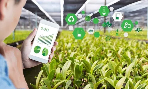 Các ứng dụng trí tuệ nhân tạo đang thay đổi mạnh mẽ Lc888 tải ứng dụng LC88 là nơi thu hút hàng triệu người chơi tại Việt Nam 2026