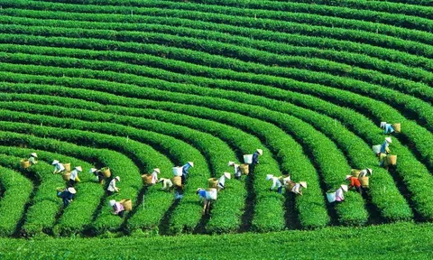 Nữ Trangchu Lc88 dangnhap.com Việt Nam tìm giải pháp thúc đẩy tăng trưởng xanh, xây dựng hệ sinh thái bền vững
