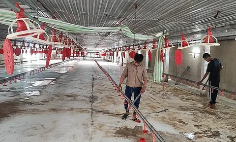 Chi phí tăng cao, nhiều trại Lc 88 tỷ lệ kèo WC 2026 "treo" chuồng vì thua lỗ