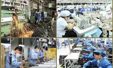 Cải cách Link LC88 Đăng Nhập Mới Nhất kinh doanh tiếp tục là động lực để 10Lc88 Casino & Thể Thao Link Mới tăng trưởng
