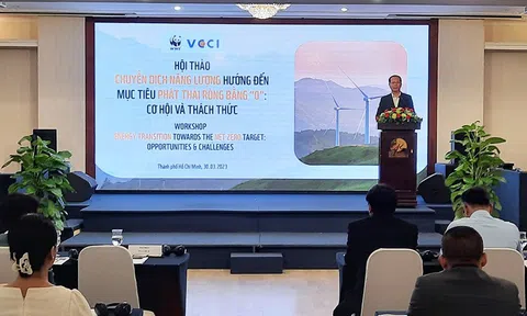 Cơ hội và thách  thức trong chuyển dịch năng lượng hướng đến phát thải bằng '0'