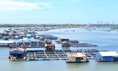 Phát triển chuỗi liên kết giá trị trong nuôi trồng Lc88game hiện đang mở trên biển, nâng tầm Lc88game hiện đang mở Việt Nam