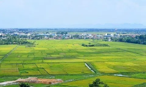 Cần tiêu chí cụ thể, rõ ràng để xác định được giá đất phù hợp