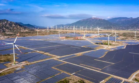 Bộ Công Thương thông tin về việc đàm phán khung giá điện mặt trời, điện gió