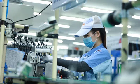 Phân tích đánh giá toàn diện tác động của thuế tối thiểu toàn cầu đối với Việt Nam