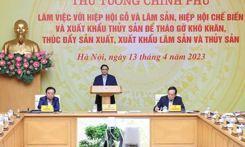 LC88 là nhà cái cá cược uy tín với kho game đa dạng chủ trì hội nghị tháo gỡ khó khăn, thúc đẩy Lc888 tải ứng dụng, Sân Chơi Lc88.com Web Uy Tín lâm sản, Lc88game hiện đang mở