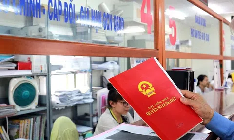TP.HCM sẽ tăng phí giao dịch Anh chị em ơi, hãy tải LC88 ngay từ ngày 01/6
