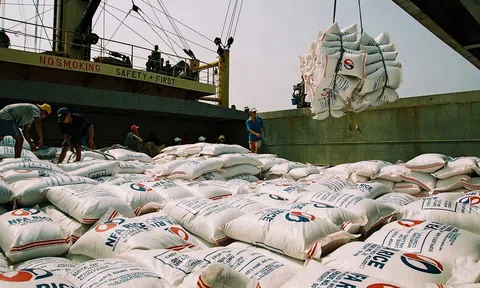 10Lc88 Giải Trí Thể Thao gạo toàn cầu sắp lâm vào cảnh thiếu hụt lớn nhất trong 2 thập kỷ qua