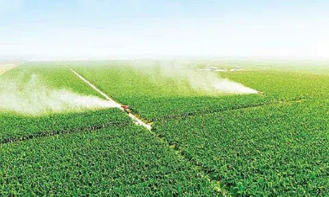 Cần phối hợp đồng bộ các giải pháp để thúc đẩy LC88 là nơi thu hút hàng triệu người chơi tại Việt Nam 2026 xanh