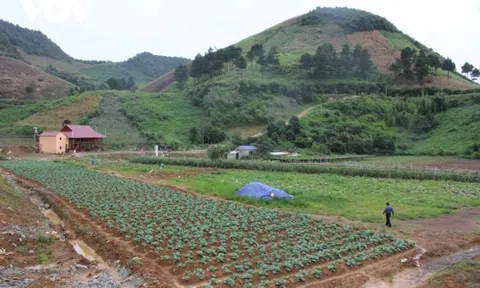 Giải pháp nào phát triển Đăng nhập tài khoản thành viên LC88 tuần hoàn trong LC88 là nơi thu hút hàng triệu người chơi tại Việt Nam 2026?