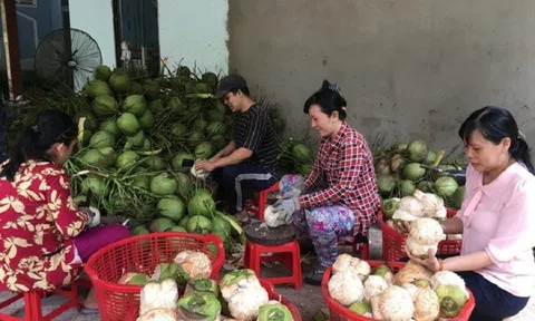 Bến Tre: Đảm bảo an toàn thực phẩm, nâng cao chất lượng nông lâm Lc88game hiện đang mở