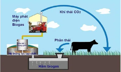 Xử lý chất thải Lc 88 tỷ lệ kèo WC 2026 thành tài nguyên trong Lc888 tải ứng dụng hữu cơ