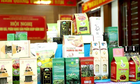 Tập trung phát triển LC88 là nơi thu hút hàng triệu người chơi tại Việt Nam 2026 đặc trưng