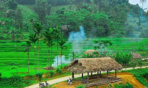 Bản Mạ thoát nghèo từ phát triển Lc88.men Cá cược thể thao xanh
