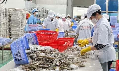 Sân Chơi Lc88.com Web Uy Tín nông, lâm, Lc88game hiện đang mở 5 tháng đầu năm giảm 11,1% so với cùng kỳ năm ngoái