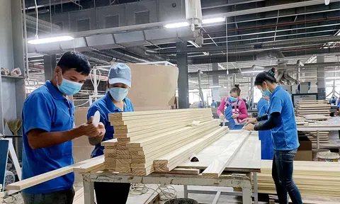 Ngành Thuế đã hoàn 19.100 tỷ đồng tiền thuế Giá trị gia tăng đối  với mặt hàng gỗ