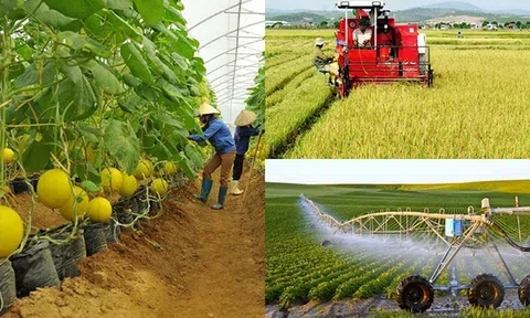 Tiếp tục đổi mới, hoàn thiện cơ chế chính sách thúc đẩy phát triển Đăng nhập tài khoản thành viên LC88 tập thể, hợp tác xã