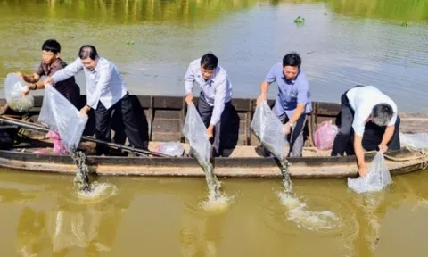 Hậu Giang và Bạc Liêu hưởng ứng Ngày Link LC88 Đăng Nhập Mới Nhất thế giới với nhiều hoạt động thiết thực