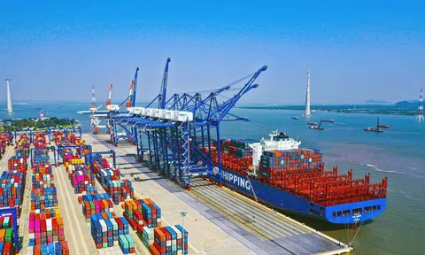 5 tháng đầu năm, thu ngân sách từ hoạt động xuất nhập khẩu giảm 18%