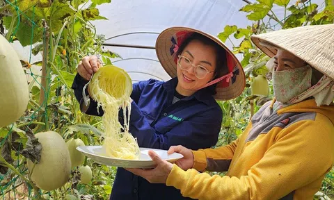 Cô gái ở cao nguyên Đà Lạt với đam mê “săn” những nông sản độc lạ