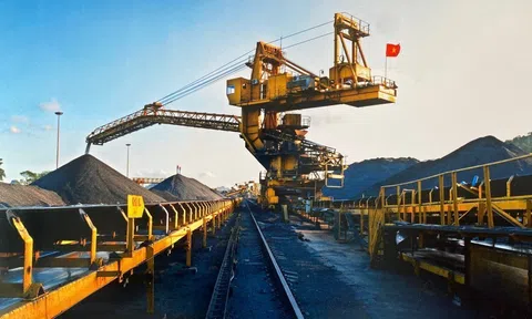 TKV cam kết cung cấp than cho Lc888 tải ứng dụng điện năm 2023 vượt 15% so với năm 2022