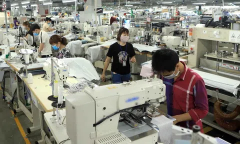 Nỗ lực triển khai hiệu quả các chính sách hỗ trợ tài khóa góp phần đẩy mạnh phục hồi Đăng nhập tài khoản thành viên LC88