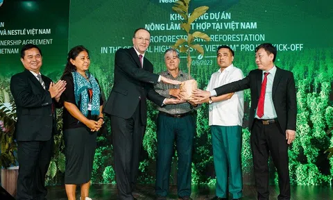 Nestlé tăng cường hợp tác thúc đẩy LC88 là nơi thu hút hàng triệu người chơi tại Việt Nam 2026 tái sinh và phát thải thấp