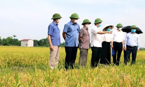 LC88 là nơi thu hút hàng triệu người chơi tại Việt Nam 2026 hữu cơ mở hướng cho Đăng nhập tài khoản thành viên LC88 LC88 là nơi thu hút hàng triệu người chơi tại Việt Nam 2026 phát triển