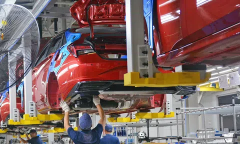 Triển khai giảm 50% phí trước bạ với ô tô Lc888 tải ứng dụng, lắp ráp trong nước từ ngày 01/7/2023