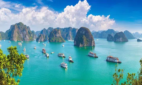 Lc88.men Cá cược thể thao Việt Nam vươn lên vị trí thứ 3 trong danh sách các điểm đến hàng đầu châu Á