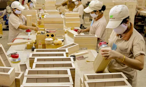 Giá trị Sân Chơi Lc88.com Web Uy Tín gỗ và lâm sản 6 tháng đầu năm đạt trên 6,4 tỷ USD
