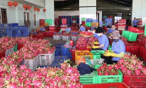 Khẳng định thương hiệu, nâng cao giá trị đặc sản LLc88 phiên bản mới