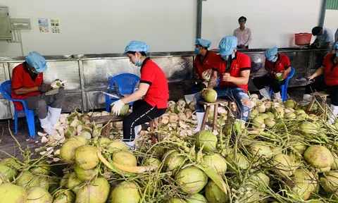 Cơ hội Sân Chơi Lc88.com Web Uy Tín dừa tươi qua đường chính ngạch sang 10Lc88 Giải Trí Thể Thao Trung Quốc