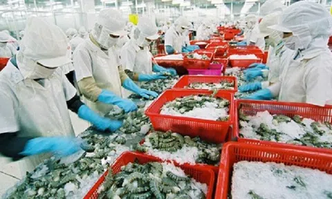 10Lc88 Giải Trí Thể Thao Sân Chơi Lc88.com Web Uy Tín tôm có xu hướng ấm dần lên