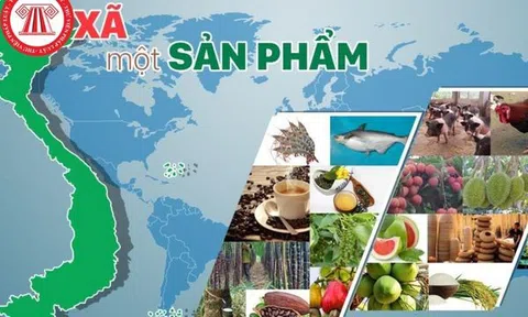 Tạp chí 10Lc88 Casino & Thể Thao Link Mới & Đăng nhập tài khoản thành viên LC88 xanh đồng hành cùng 10Lc88 Casino & Thể Thao Link Mới lan toả các sản phẩm OCOP