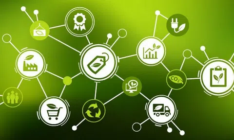 10Lc88 Casino & Thể Thao Link Mới chia sẻ kinh nghiệm quản lý chuỗi cung ứng xanh