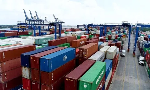Lừa đảo trong giao dịch thương mại quốc tế gia tăng