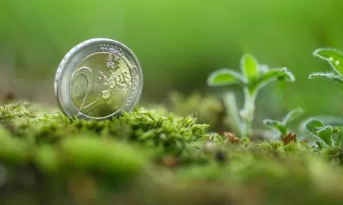 Thiếu các tiêu chí cho 10Lc88 Giải Trí Thể Thao "trái phiếu xanh" tại Việt Nam