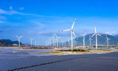 Vì sao EVN được giao tính toán xây dựng khung giá phát điện tái tạo?