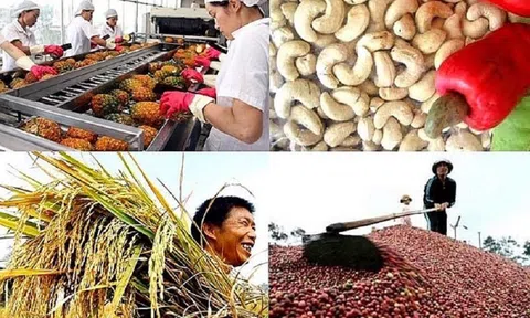 Cần chuẩn bị gì khi đưa nông sản Việt vào hệ thống phân phối nước ngoài?