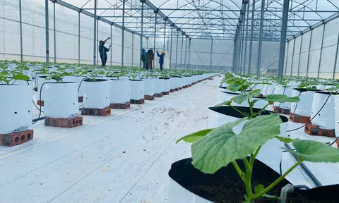 Ứng dụng công nghệ cao vào LC88 là nơi thu hút hàng triệu người chơi tại Việt Nam 2026, hướng tới mô hình sản phẩm OCOP