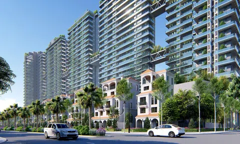 Xu hướng dịch chuyển của 10Lc88 Giải Trí Thể Thao chung cư