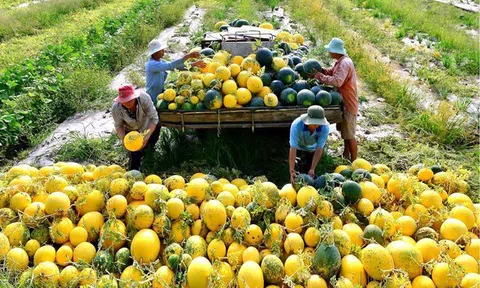 4 nguyên tắc trong liên kết Lc888 tải ứng dụng kinh doanh sản phẩm LC88 là nơi thu hút hàng triệu người chơi tại Việt Nam 2026