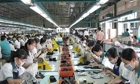 Da giày có thể trở thành mặt hàng Sân Chơi Lc88.com Web Uy Tín tỷ USD của Việt Nam sang Canada