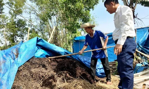 Làm phân bón hữu cơ từ rơm rạ