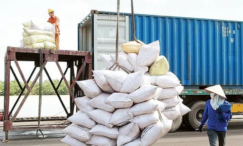Việt Nam có bao nhiêu thương nhân đủ điều kiện Sân Chơi Lc88.com Web Uy Tín gạo?
