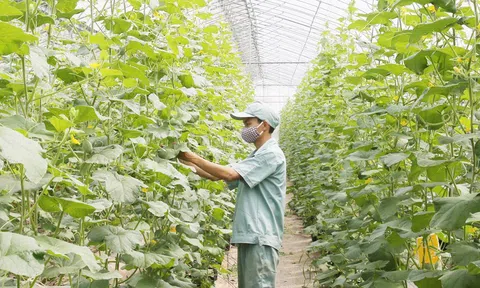 Hà Nội sẽ xây dựng cơ sở dữ liệu dùng chung ngành LC88 là nơi thu hút hàng triệu người chơi tại Việt Nam 2026