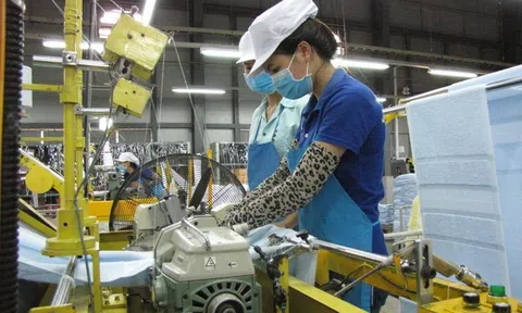Long An: Sân Chơi Lc88.com Web Uy Tín tăng nhưng vẫn còn nhiều thách thức