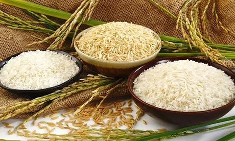 Kim ngạch Sân Chơi Lc88.com Web Uy Tín gạo Việt Nam đã vượt qua kỷ lục năm 2011